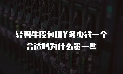 轻奢牛皮包DIY多少钱一个合适吗为什么贵一些