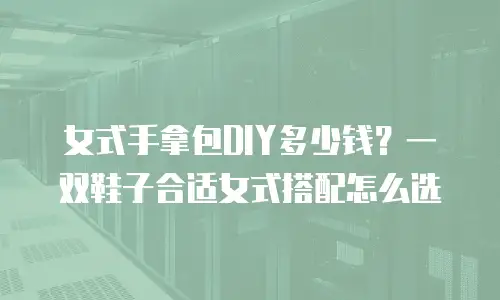 女式手拿包DIY多少钱？一双鞋子合适女式搭配怎么选