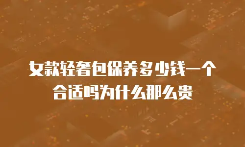 女款轻奢包保养多少钱一个合适吗为什么那么贵
