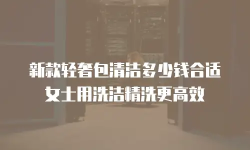 新款轻奢包清洁多少钱合适女士用洗洁精洗更高效