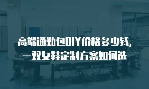 高端通勤包DIY价格多少钱，一双女鞋定制方案如何选