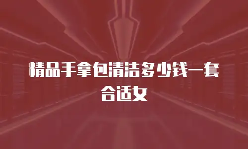 精品手拿包清洁多少钱一套合适女