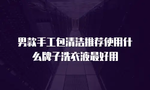 男款手工包清洁推荐使用什么牌子洗衣液最好用