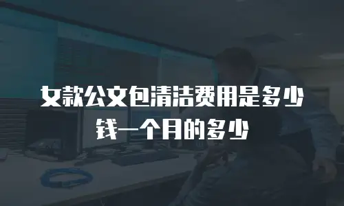 女款公文包清洁费用是多少钱一个月的多少