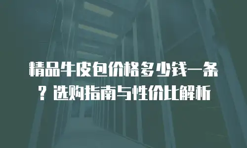 精品牛皮包价格多少钱一条？选购指南与性价比解析