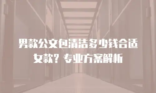 男款公文包清洁多少钱合适女款？专业方案解析