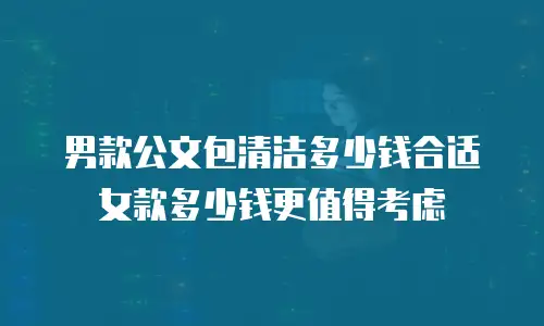 男款公文包清洁多少钱合适 女款多少钱更值得考虑