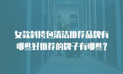 女款斜挎包清洁推荐品牌有哪些好推荐的牌子有哪些?
