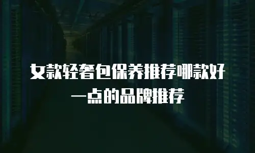女款轻奢包保养推荐哪款好一点的品牌推荐