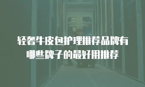 轻奢牛皮包护理推荐品牌有哪些牌子的最好用推荐