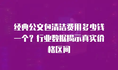 经典公文包清洁费用多少钱一个？行业数据揭示真实价格区间