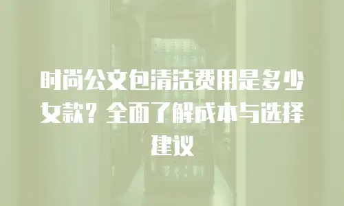 时尚公文包清洁费用是多少女款？全面了解成本与选择建议