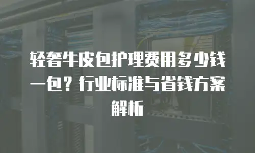 轻奢牛皮包护理费用多少钱一包？行业标准与省钱方案解析