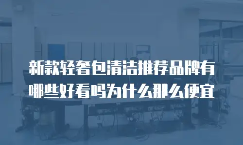 新款轻奢包清洁推荐品牌有哪些好看吗为什么那么便宜
