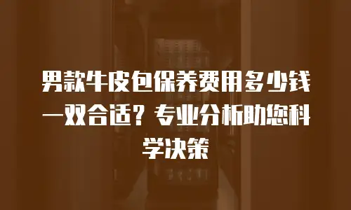 男款牛皮包保养费用多少钱一双合适？专业分析助您科学决策