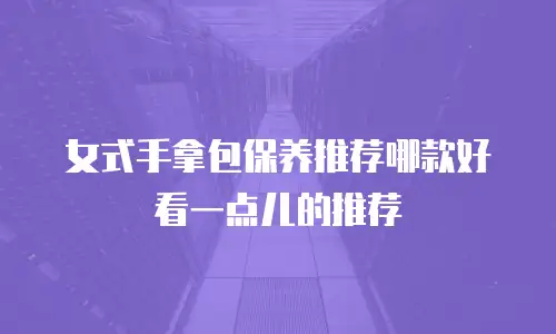 女式手拿包保养推荐哪款好看一点儿的推荐