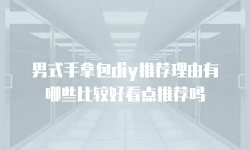 男式手拿包diy推荐理由有哪些比较好看点推荐吗