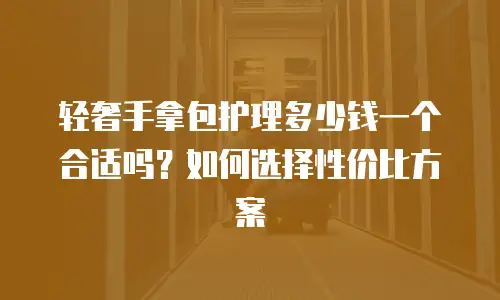 轻奢手拿包护理多少钱一个合适吗？如何选择性价比方案