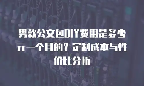 男款公文包DIY费用是多少元一个月的？定制成本与性价比分析