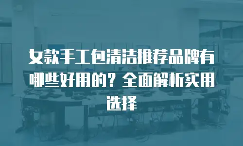 女款手工包清洁推荐品牌有哪些好用的？全面解析实用选择