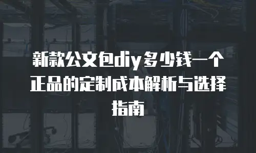 新款公文包diy多少钱一个正品的定制成本解析与选择指南