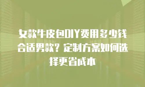 女款牛皮包DIY费用多少钱合适男款？定制方案如何选择更省成本