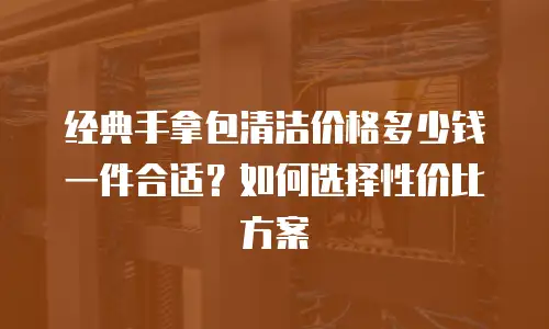 经典手拿包清洁价格多少钱一件合适？如何选择性价比方案