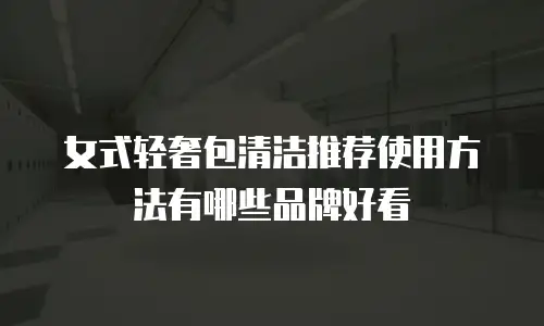 女式轻奢包清洁推荐使用方法有哪些品牌好看