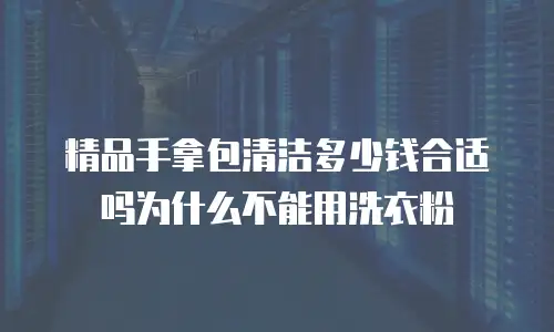 精品手拿包清洁多少钱合适吗为什么不能用洗衣粉