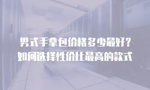 男式手拿包价格多少最好？如何选择性价比最高的款式