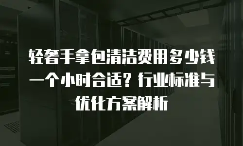 轻奢手拿包清洁费用多少钱一个小时合适？行业标准与优化方案解析