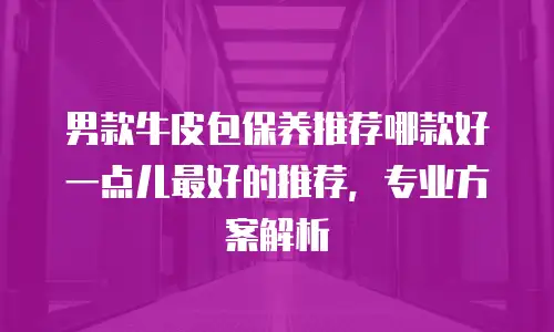 男款牛皮包保养推荐哪款好一点儿最好的推荐，专业方案解析