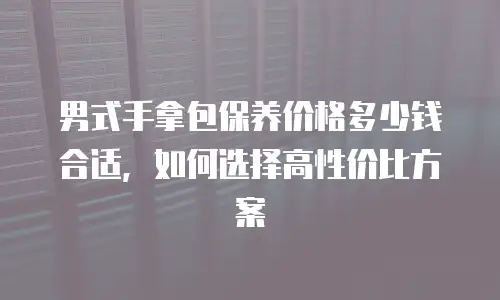 男式手拿包保养价格多少钱合适，如何选择高性价比方案