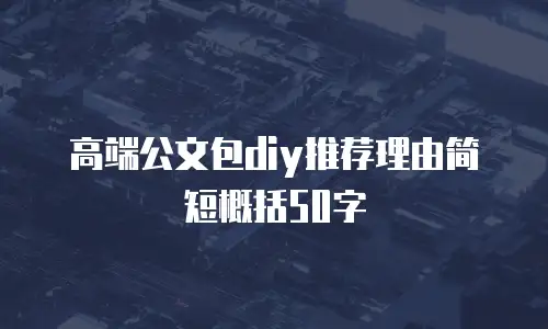 高端公文包diy推荐理由简短概括50字