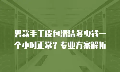 男款手工皮包清洁多少钱一个小时正常？专业方案解析
