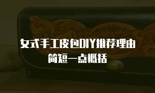 女式手工皮包DIY推荐理由简短一点概括