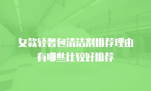 女款轻奢包清洁剂推荐理由有哪些比较好推荐