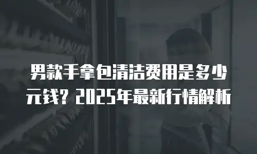 男款手拿包清洁费用是多少元钱？2025年最新行情解析