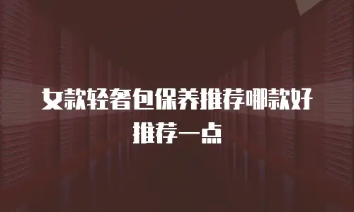 女款轻奢包保养推荐哪款好推荐一点
