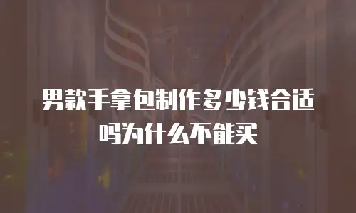 男款手拿包制作多少钱合适吗为什么不能买