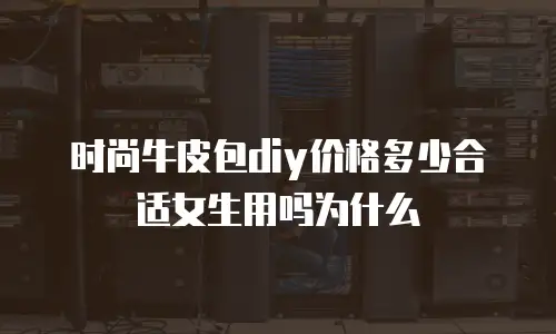 时尚牛皮包diy价格多少合适女生用吗为什么