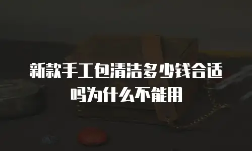 新款手工包清洁多少钱合适吗为什么不能用