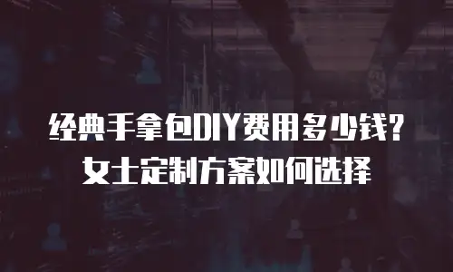 经典手拿包DIY费用多少钱？女士定制方案如何选择