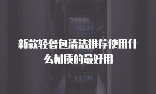 新款轻奢包清洁推荐使用什么材质的最好用