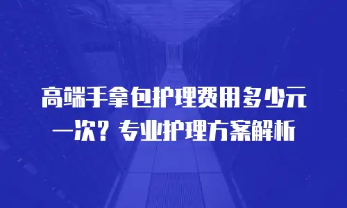 高端手拿包护理费用多少元一次？专业护理方案解析