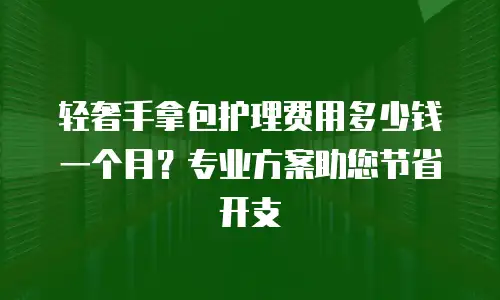 轻奢手拿包护理费用多少钱一个月？专业方案助您节省开支