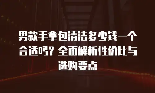 男款手拿包清洁多少钱一个合适吗？全面解析性价比与选购要点