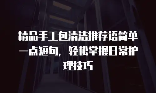 精品手工包清洁推荐语简单一点短句，轻松掌握日常护理技巧
