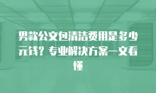 男款公文包清洁费用是多少元钱？专业解决方案一文看懂