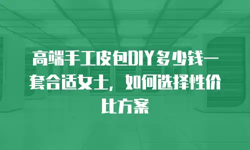 高端手工皮包DIY多少钱一套合适女士，如何选择性价比方案
